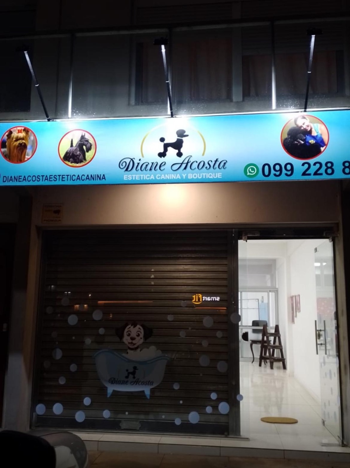 Cartel luminoso para estética canina, de noche